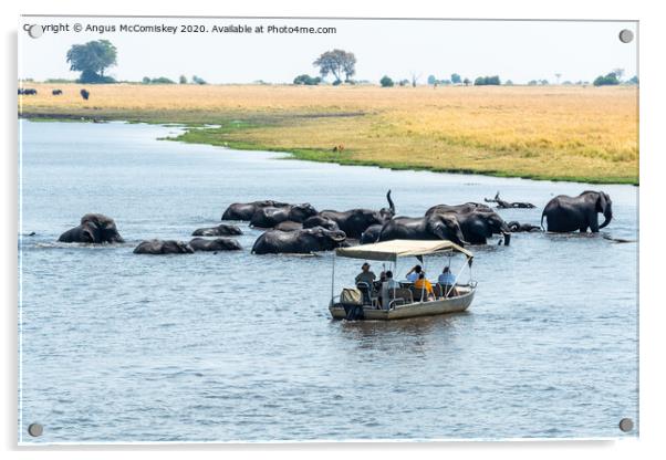 Watching elephants on the Chobe River, Botswana Acrylic by Angus McComiskey