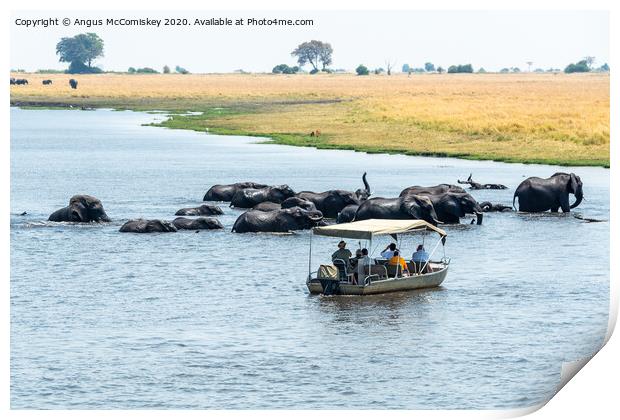 Watching elephants on the Chobe River, Botswana Print by Angus McComiskey