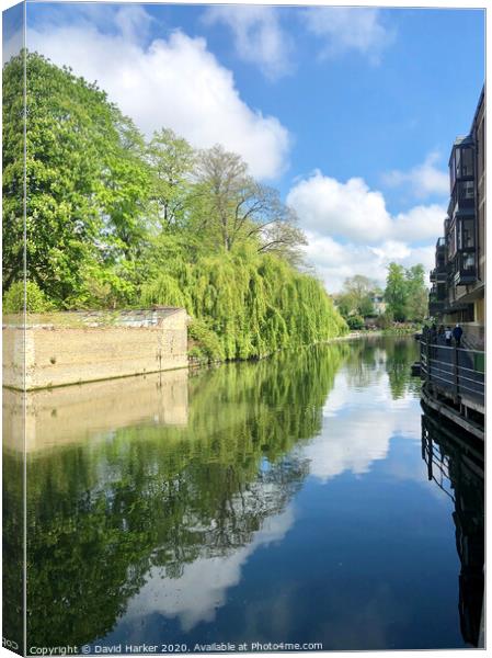 River Cam, Cambridge  Canvas Print by David Harker