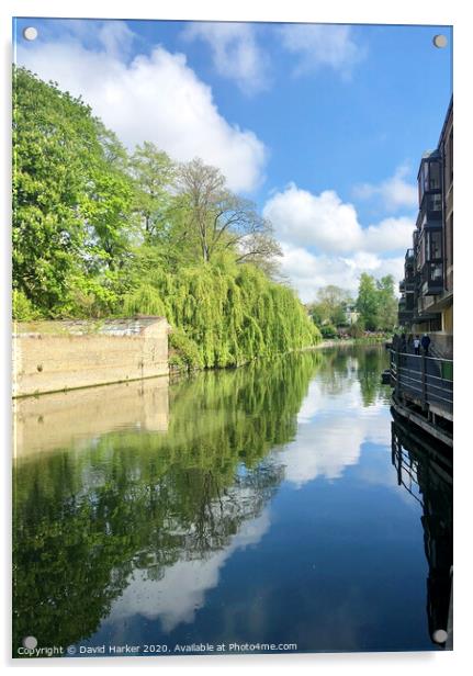 River Cam, Cambridge  Acrylic by David Harker