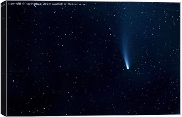 comet neowise Canvas Print by Roy Hornyak
