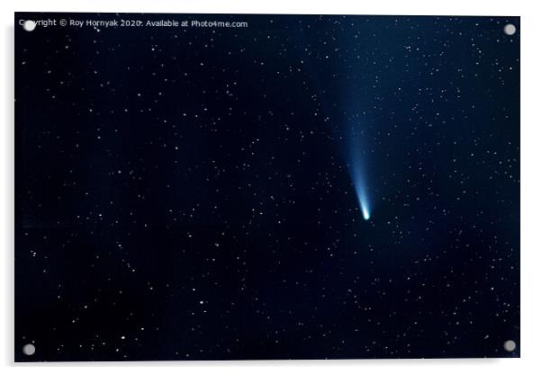 comet neowise Acrylic by Roy Hornyak