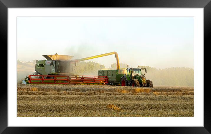 harvesting the wheat Framed Mounted Print by Roy Hornyak