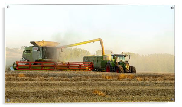 harvesting the wheat Acrylic by Roy Hornyak