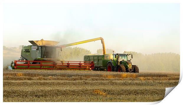 harvesting the wheat Print by Roy Hornyak