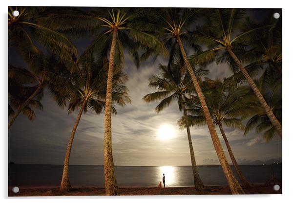 Palm Cove, Australia Acrylic by David McLean