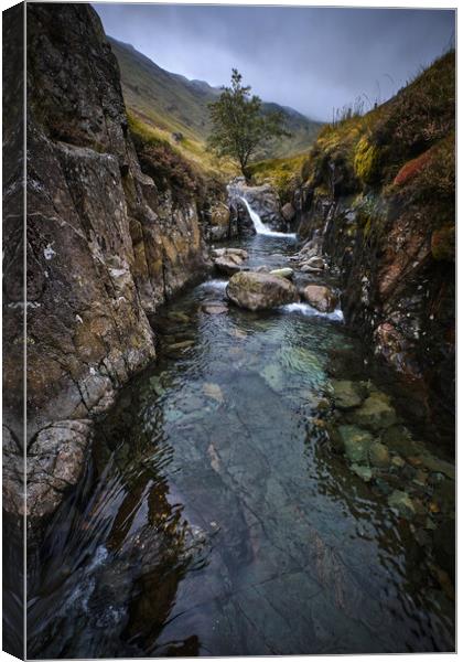 View from Stockley bridge, The Lake District Canvas Print by Dan Ward