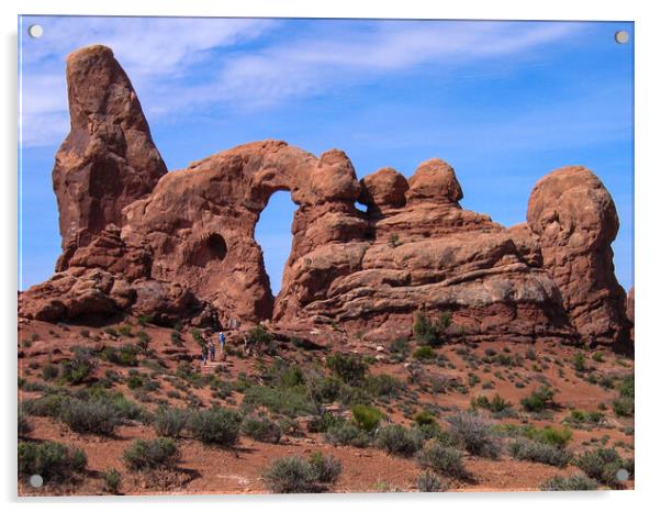 Arches National Park Acrylic by Wendy Williams CPAGB