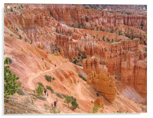 Sunset Point, Bryce Canyon Acrylic by Wendy Williams CPAGB