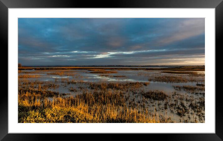Pagham Harbour Framed Mounted Print by Paul Tyzack