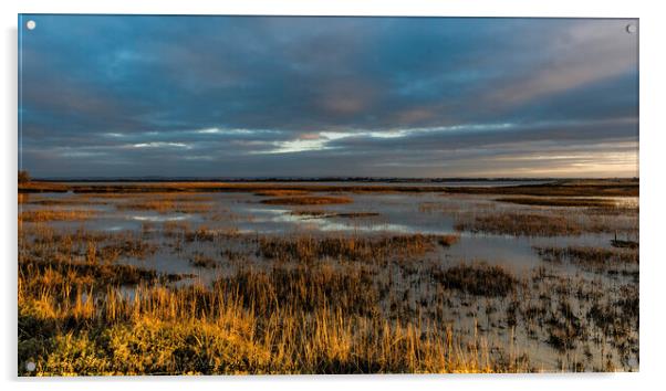 Pagham Harbour Acrylic by Paul Tyzack