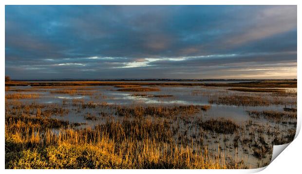 Pagham Harbour Print by Paul Tyzack