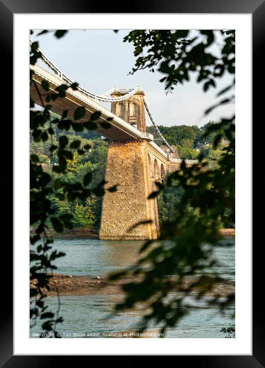 Abstract The Menai Suspension bridge through the trees Framed Mounted Print by Tim Snow