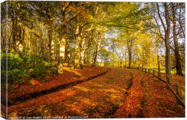 A Pathway of Golden Leaves Canvas Print by Don Nealon