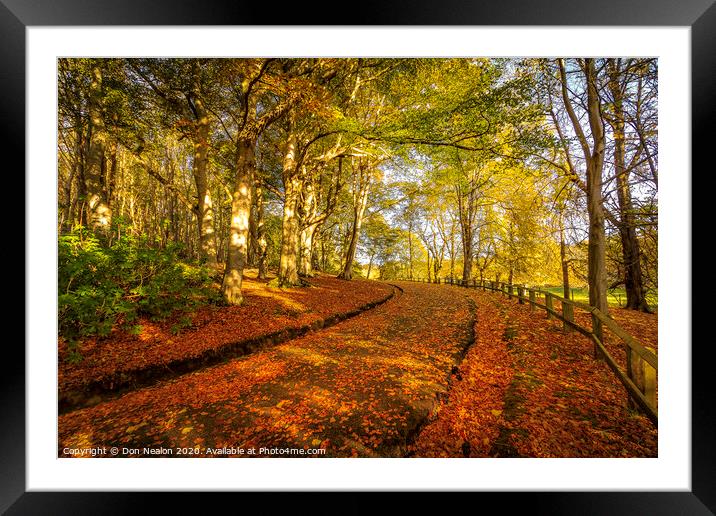 A Pathway of Golden Leaves Framed Mounted Print by Don Nealon