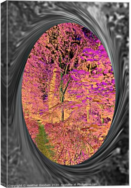 Reflection Canvas Print by Heather Goodwin