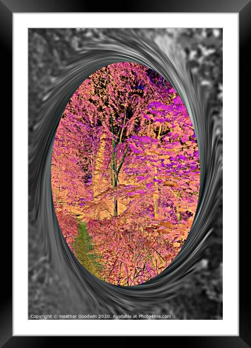 Reflection Framed Mounted Print by Heather Goodwin