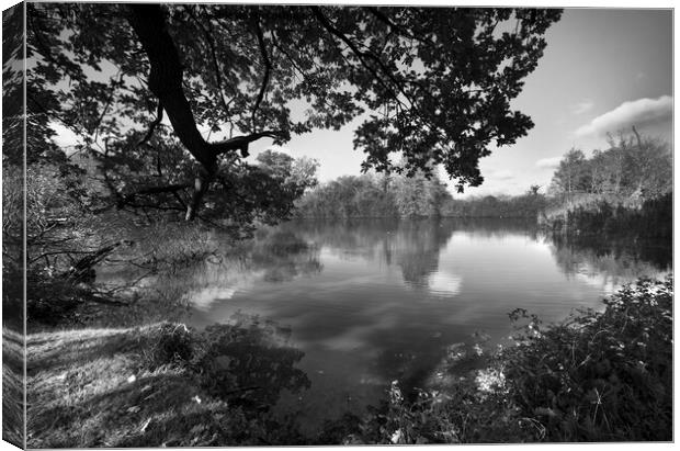 Sheepwash pond at Hatchlands Canvas Print by Kevin White