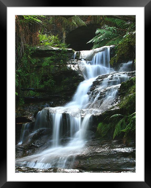 Blue Mountains Waterfall. Australia Framed Mounted Print by David McLean