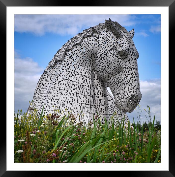 The Kelpies, Scotland Framed Mounted Print by Dan Ward