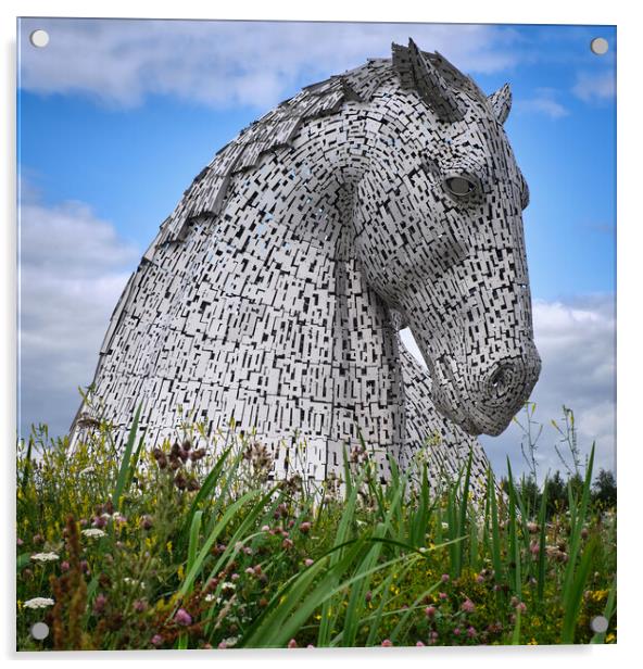 The Kelpies, Scotland Acrylic by Dan Ward