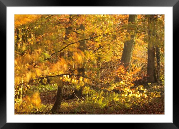 Wild weather Broadway woods  Framed Mounted Print by Simon Johnson
