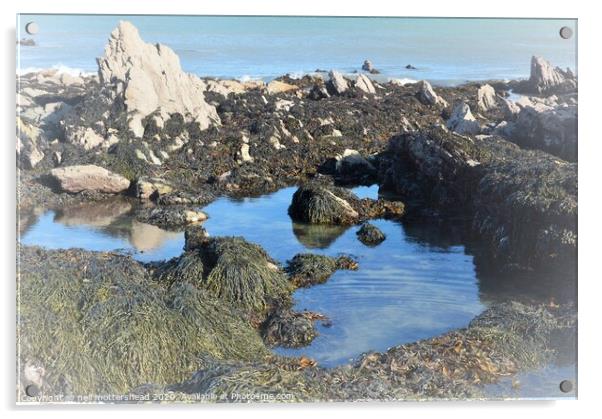 Rock Pool Reflections. Acrylic by Neil Mottershead