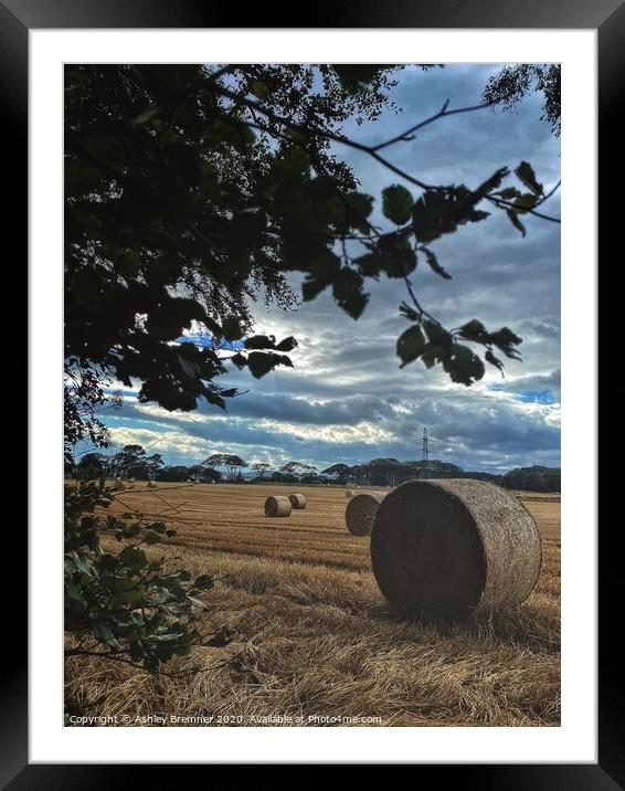 The Fields of Hay  Framed Mounted Print by Ashley Bremner