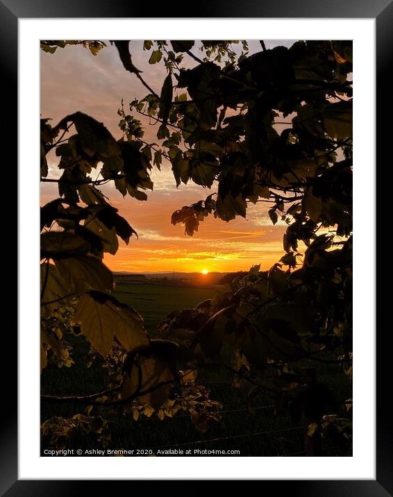 A framed sunset Framed Mounted Print by Ashley Bremner