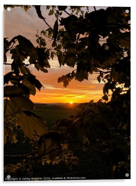 A framed sunset Acrylic by Ashley Bremner