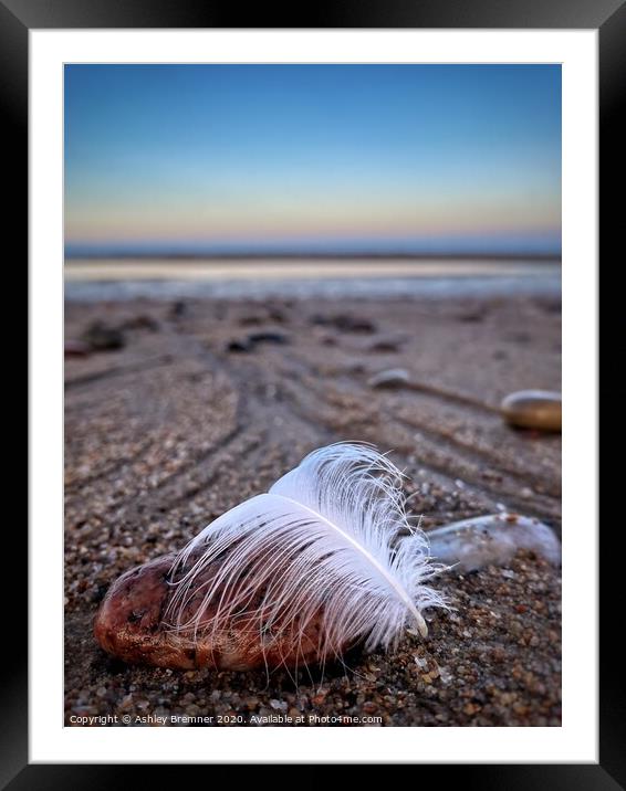 The drop of a feather  Framed Mounted Print by Ashley Bremner