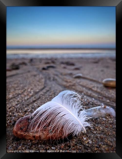 The drop of a feather  Framed Print by Ashley Bremner