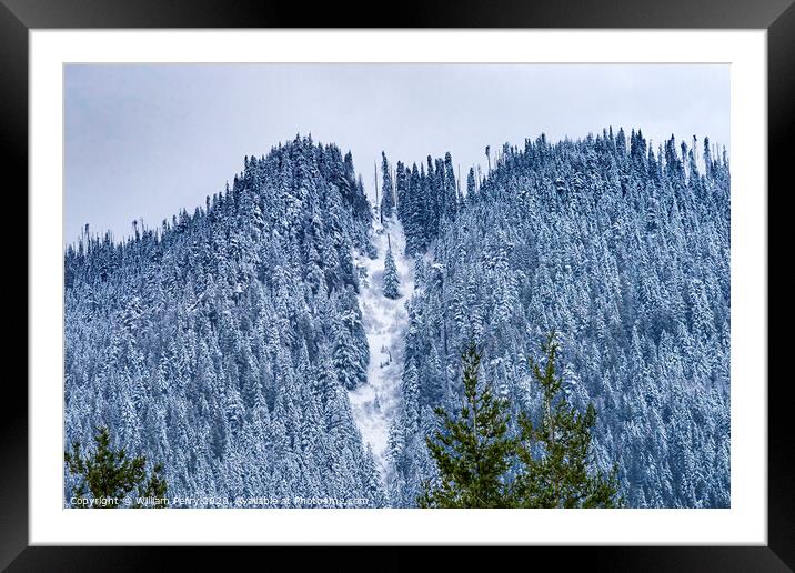 Rattlesnake Mountain Snow Evergreen North Bend Washington Framed Mounted Print by William Perry