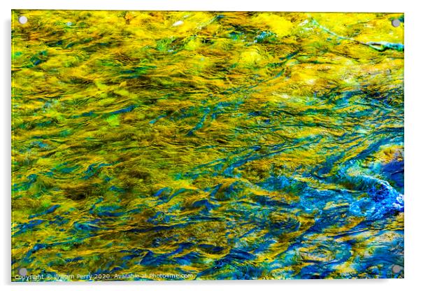 Yellow Blue Snoqualme River Abstract Washington Acrylic by William Perry