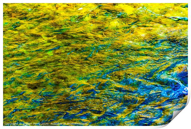 Yellow Blue Snoqualme River Abstract Washington Print by William Perry