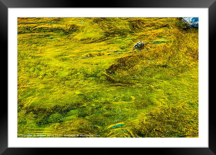 Yellow Green Snoqualme River Abstract Washington Framed Mounted Print by William Perry