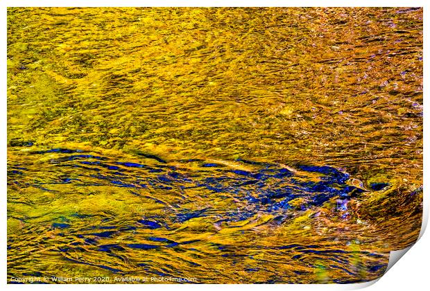 Yellow Blue Snoqualme River Abstract Valley Trail Washington Print by William Perry