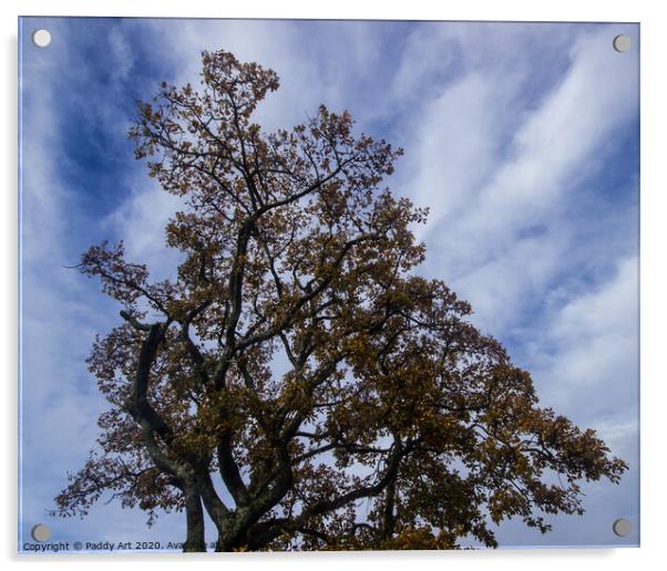 Autumn Oak, Summerhill Acrylic by Paddy Art