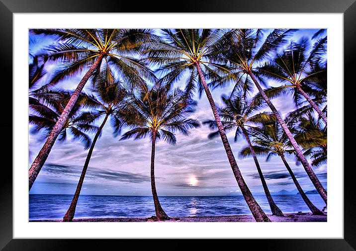 Beach Palms Framed Mounted Print by David McLean