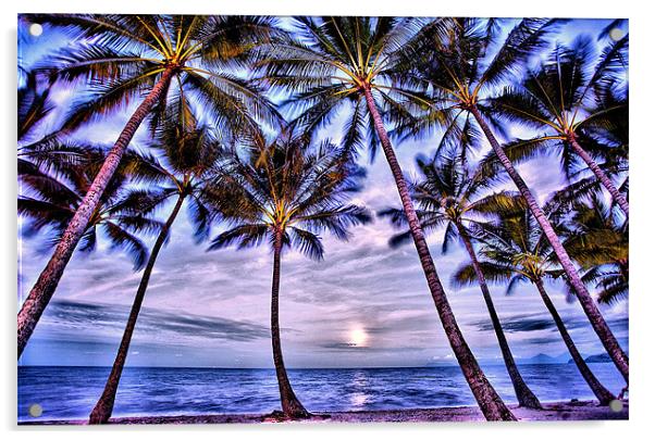 Beach Palms Acrylic by David McLean