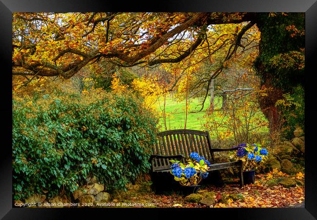 Ashover Autumn Bench Framed Print by Alison Chambers