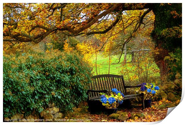 Ashover Autumn Bench Print by Alison Chambers