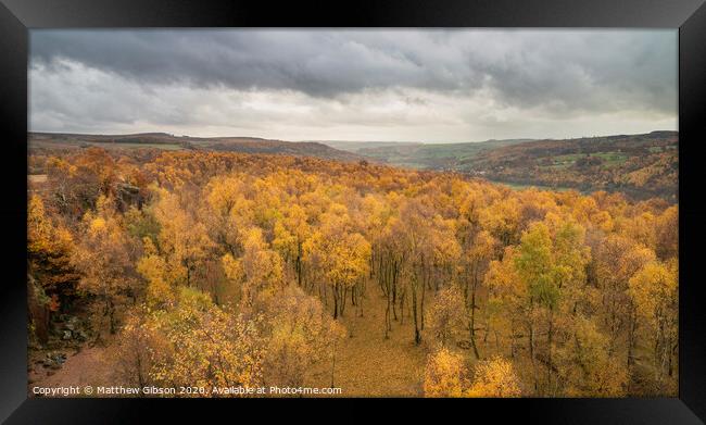 Amazing view over the top of Silver Birch forest with golden leaves in Autumn Fall landscape scene of Upper Padley gorge in Peak District in England Framed Print by Matthew Gibson