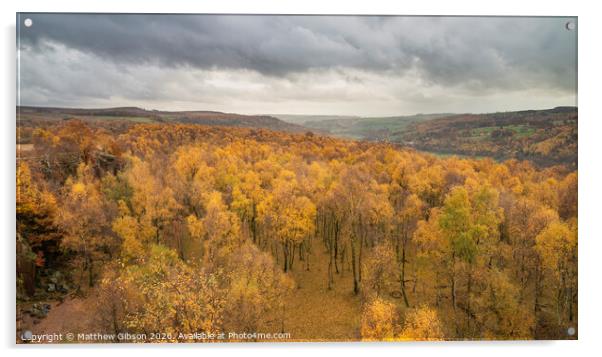 Amazing view over the top of Silver Birch forest with golden leaves in Autumn Fall landscape scene of Upper Padley gorge in Peak District in England Acrylic by Matthew Gibson