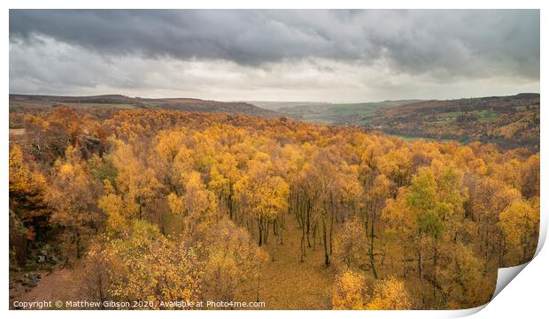 Amazing view over the top of Silver Birch forest with golden leaves in Autumn Fall landscape scene of Upper Padley gorge in Peak District in England Print by Matthew Gibson