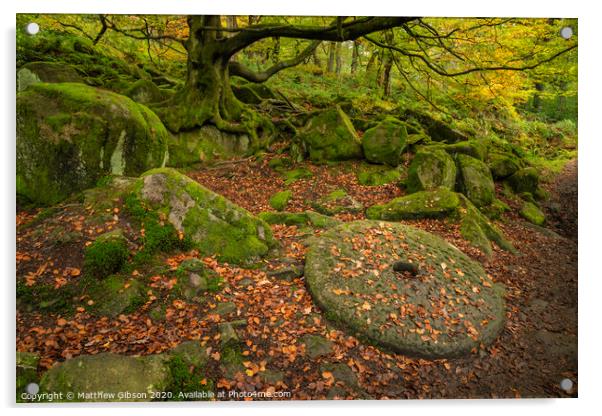 Beautiful vibrant Autumn Fall forest landscape image of millstone in woodland in Peak District Acrylic by Matthew Gibson