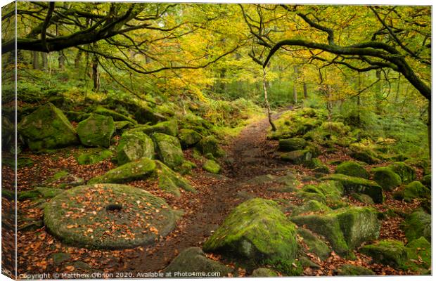Beautiful vibrant Autumn Fall forest landscape image of millstone in woodland in Peak District Canvas Print by Matthew Gibson