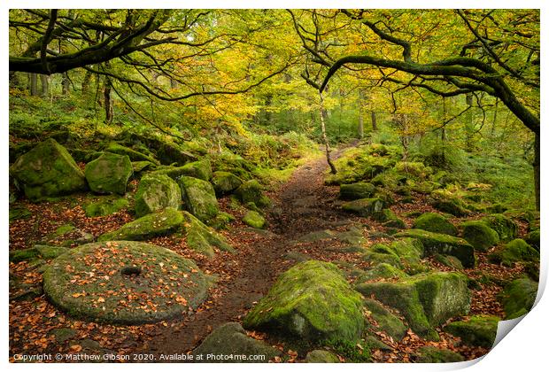 Beautiful vibrant Autumn Fall forest landscape image of millstone in woodland in Peak District Print by Matthew Gibson