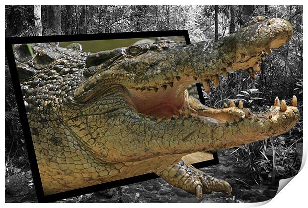 Crocodile Escape Print by David McLean