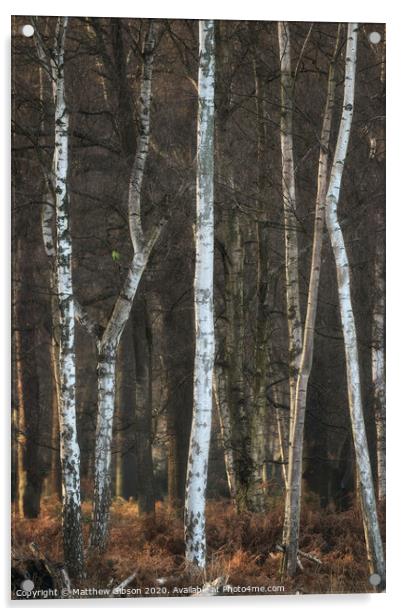Beautiful Autumn Fall Winter forest woodland landscape fine art scene Acrylic by Matthew Gibson